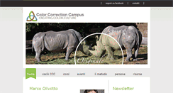 Desktop Screenshot of colorcorrectioncampus.com